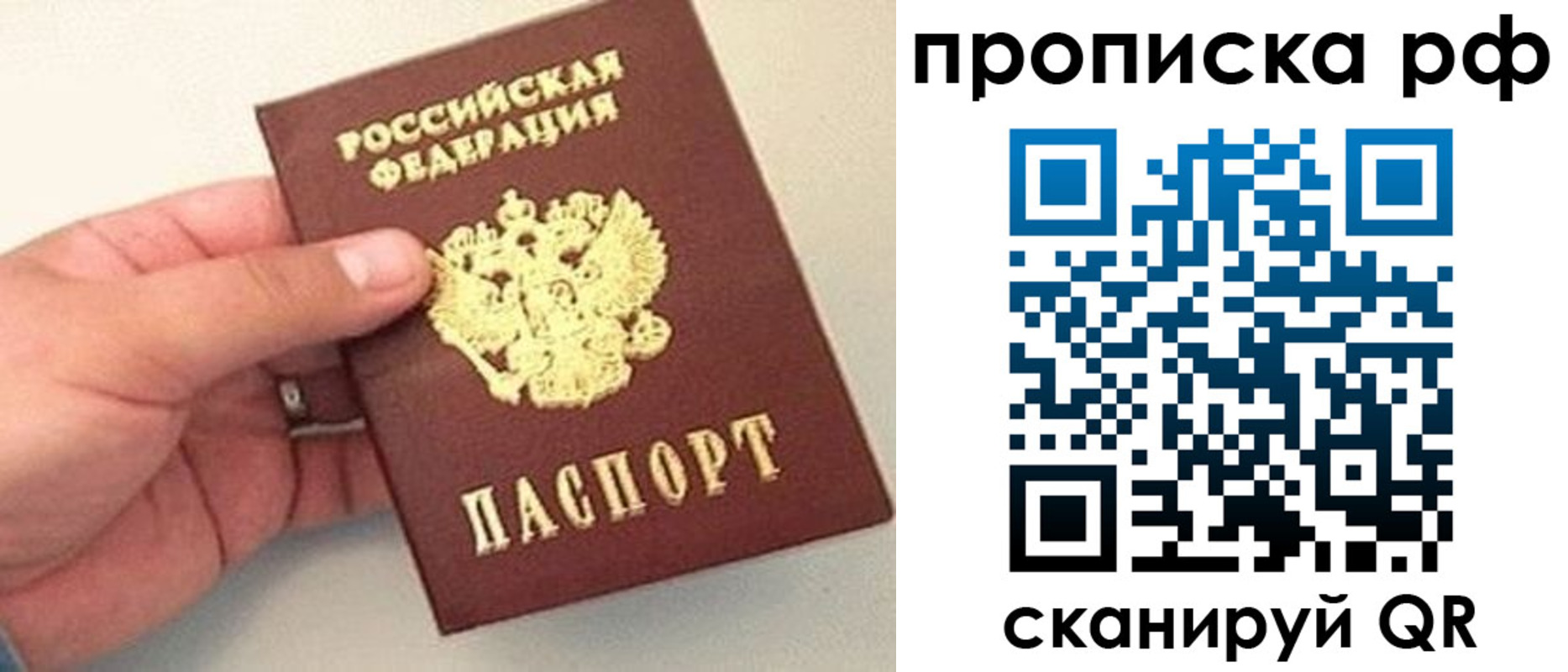 временная регистрация для всех в Курской области